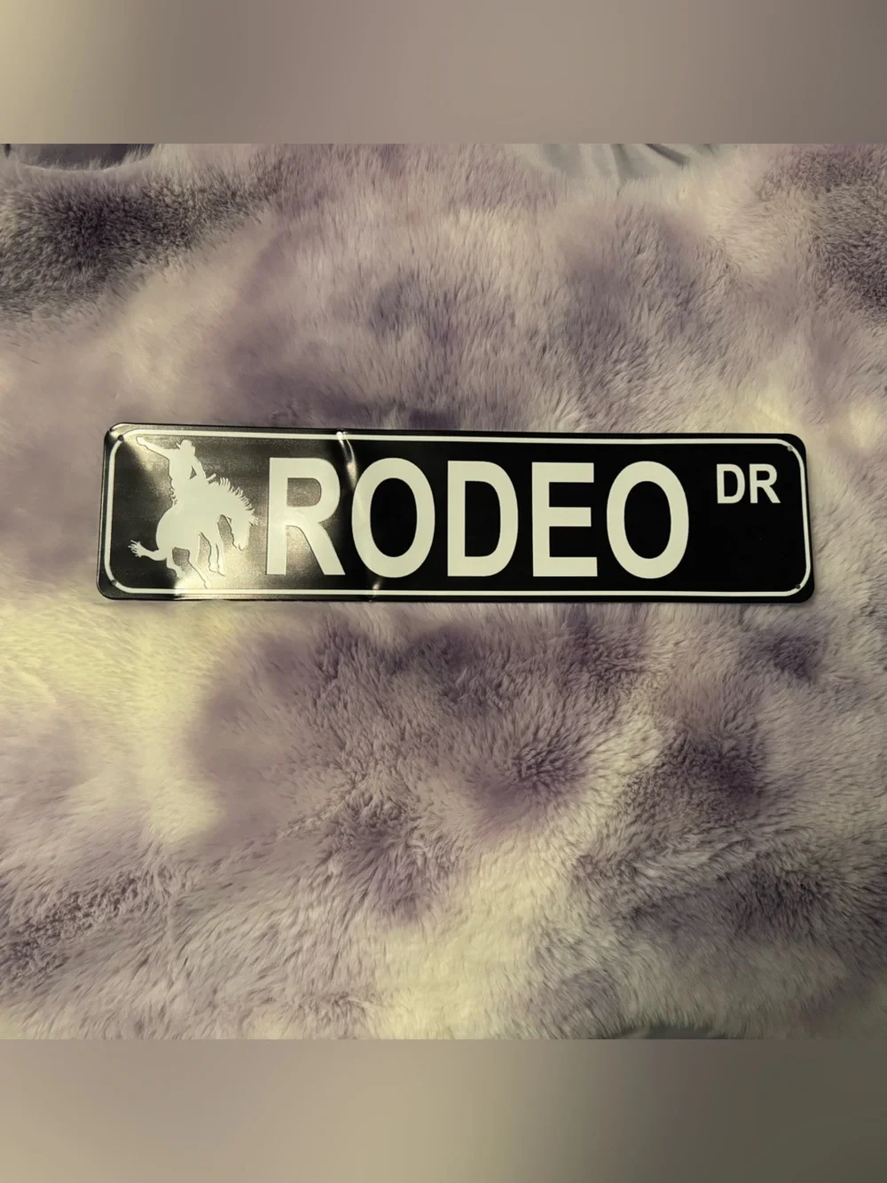 RODEO DR Black Street Sign Wall Decor